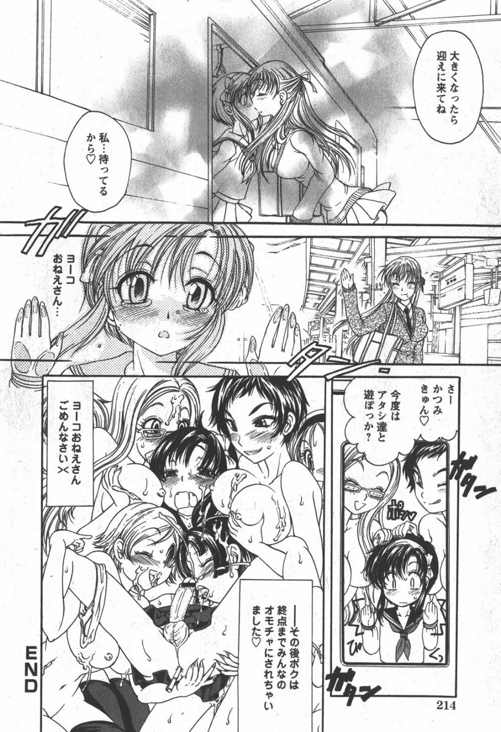 コミック 姫盗人 2007年12月号 Page.213