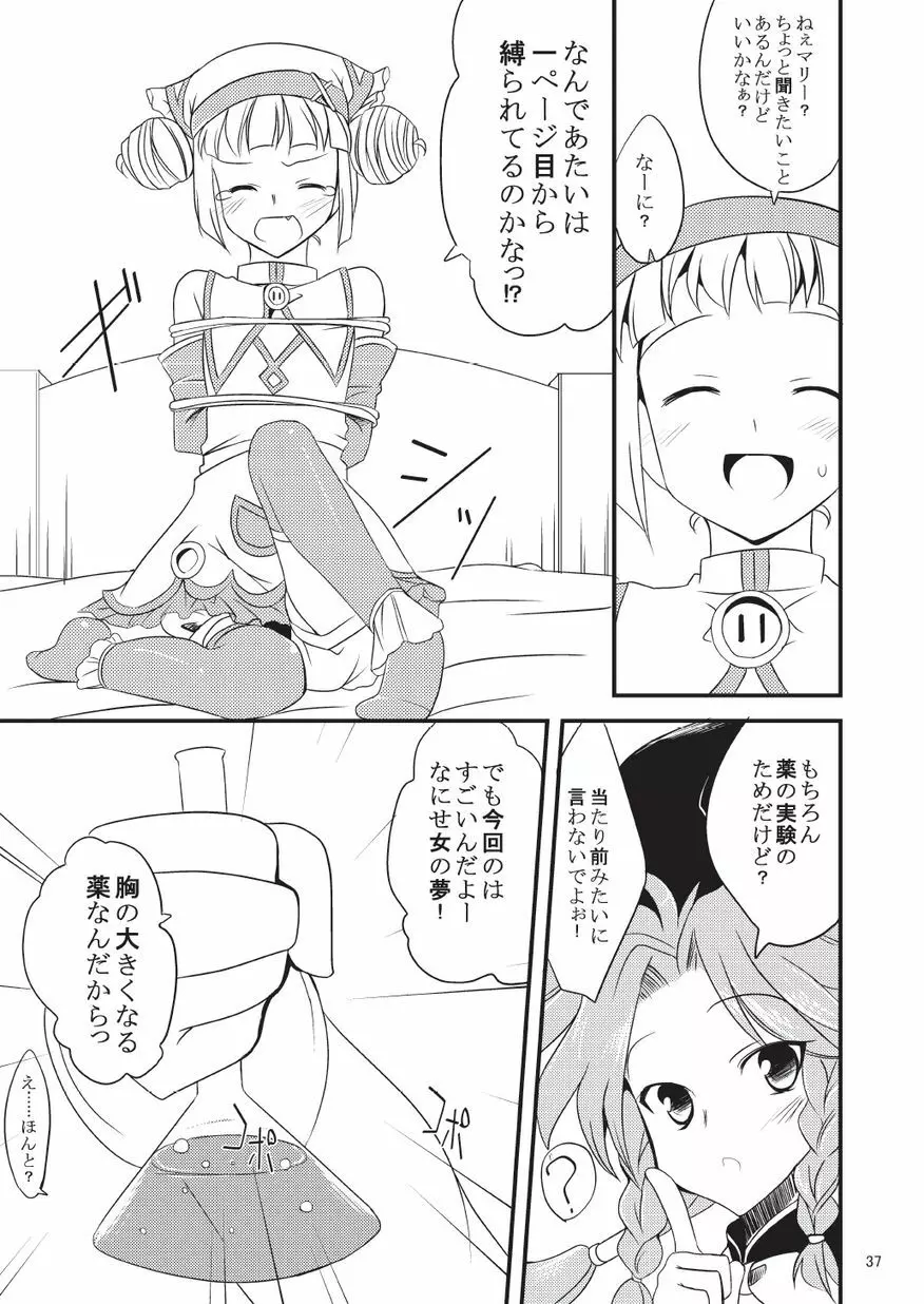 子づくりふぁくとりー なす田楽 Page.37