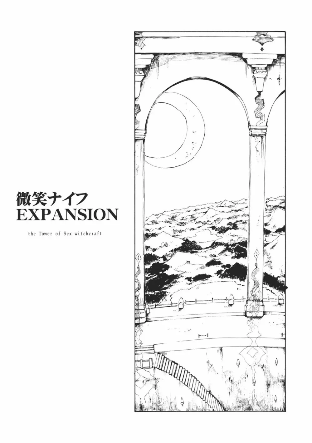 東方浮世絵巻 微笑ナイフEXPANSION Page.3