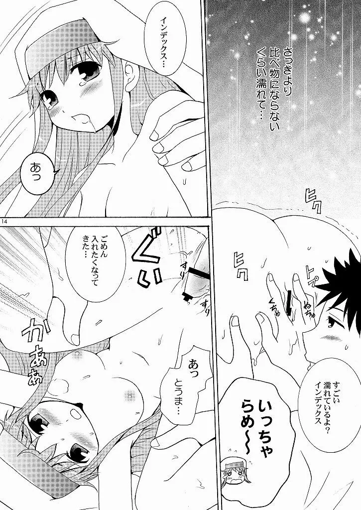 インデックスの本なんだよ。 Page.13