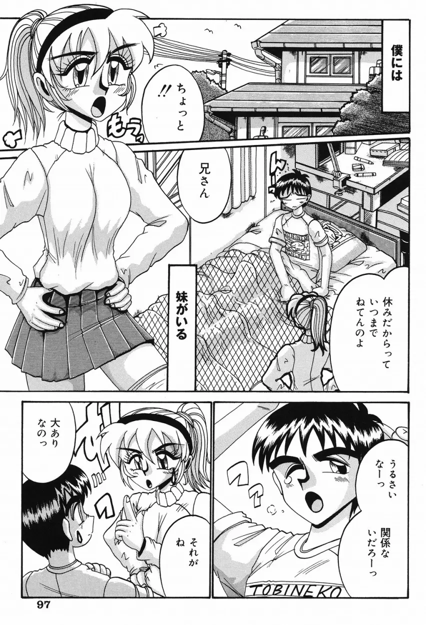 悦虐の時間 Page.96