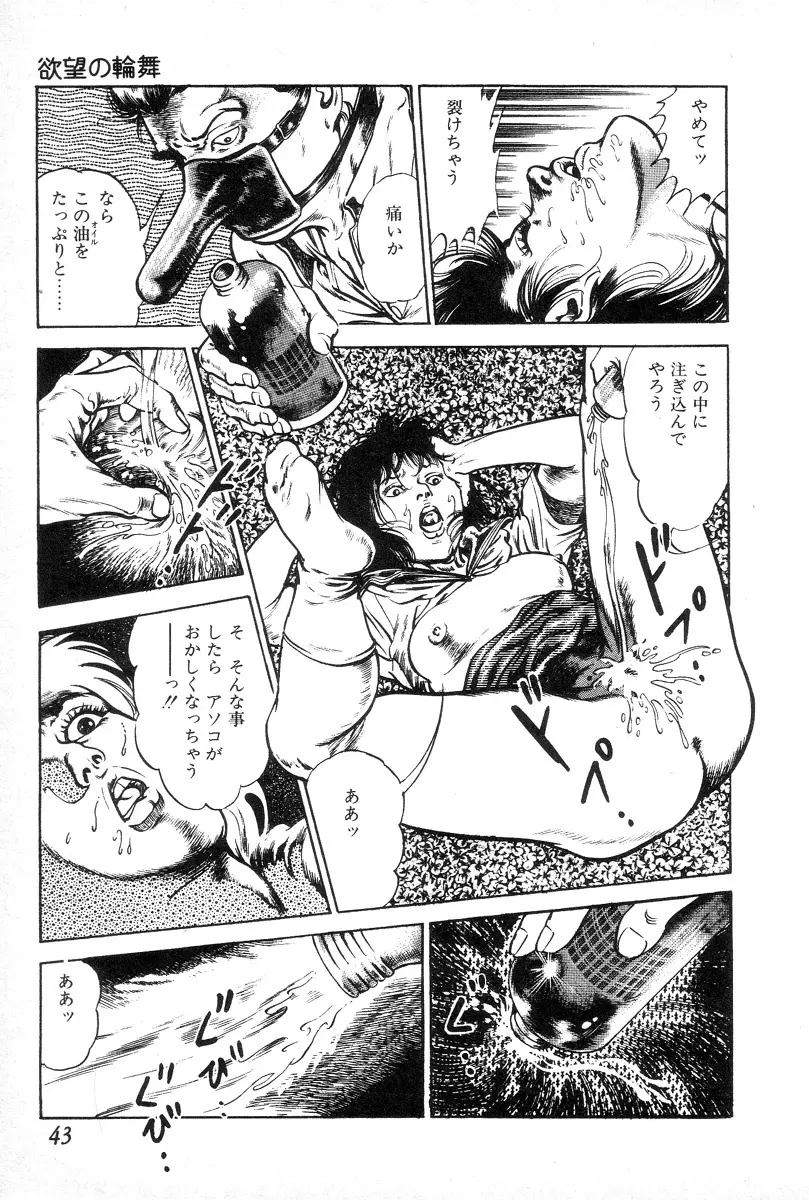 欲望の輪舞 Page.47