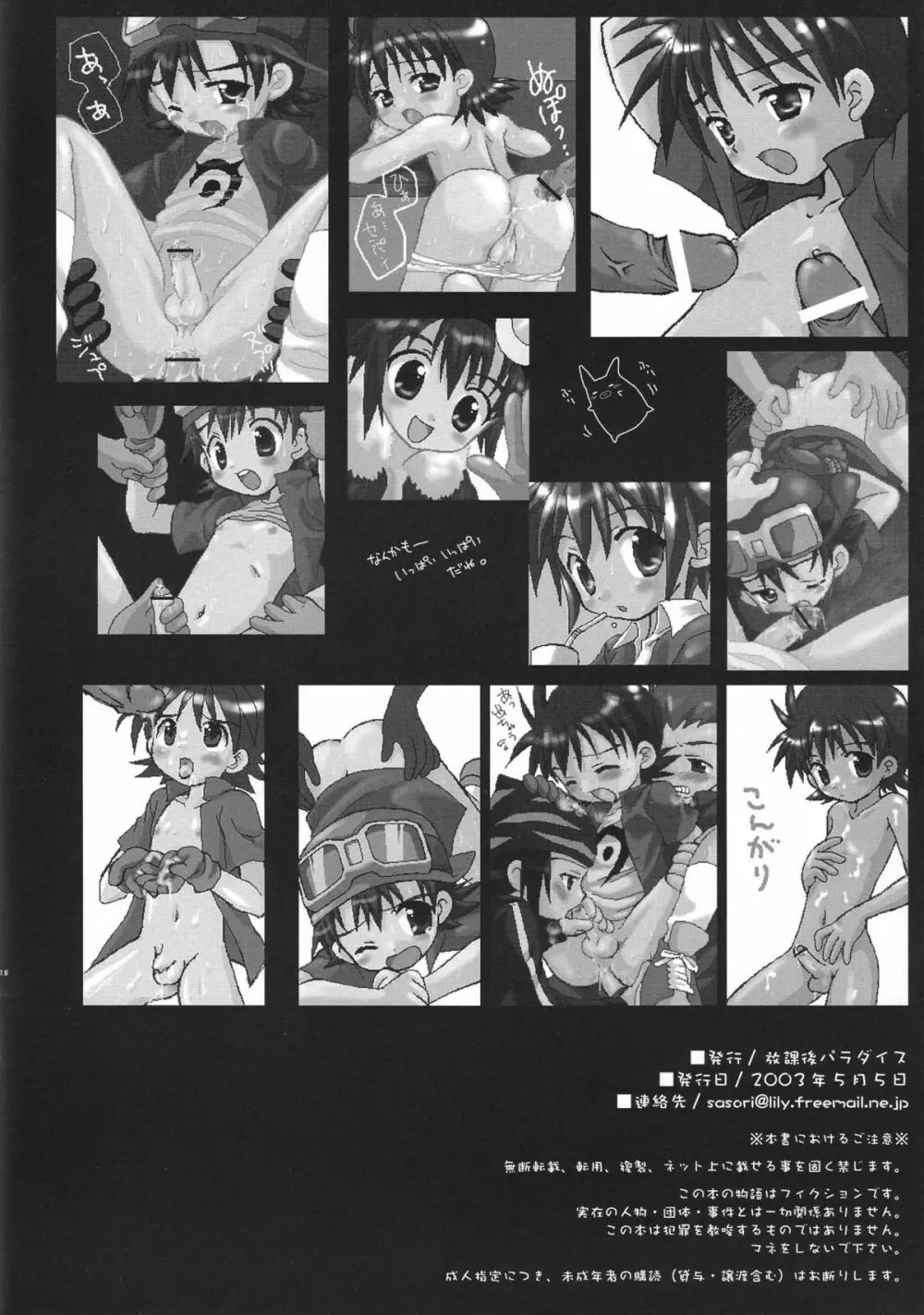 DIGIMON ADVENTURE ALL SERIES HEROES Page.19
