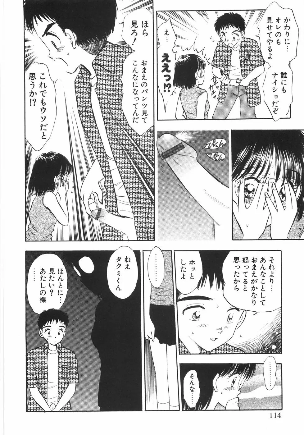 ヒミツだよ。 Page.116