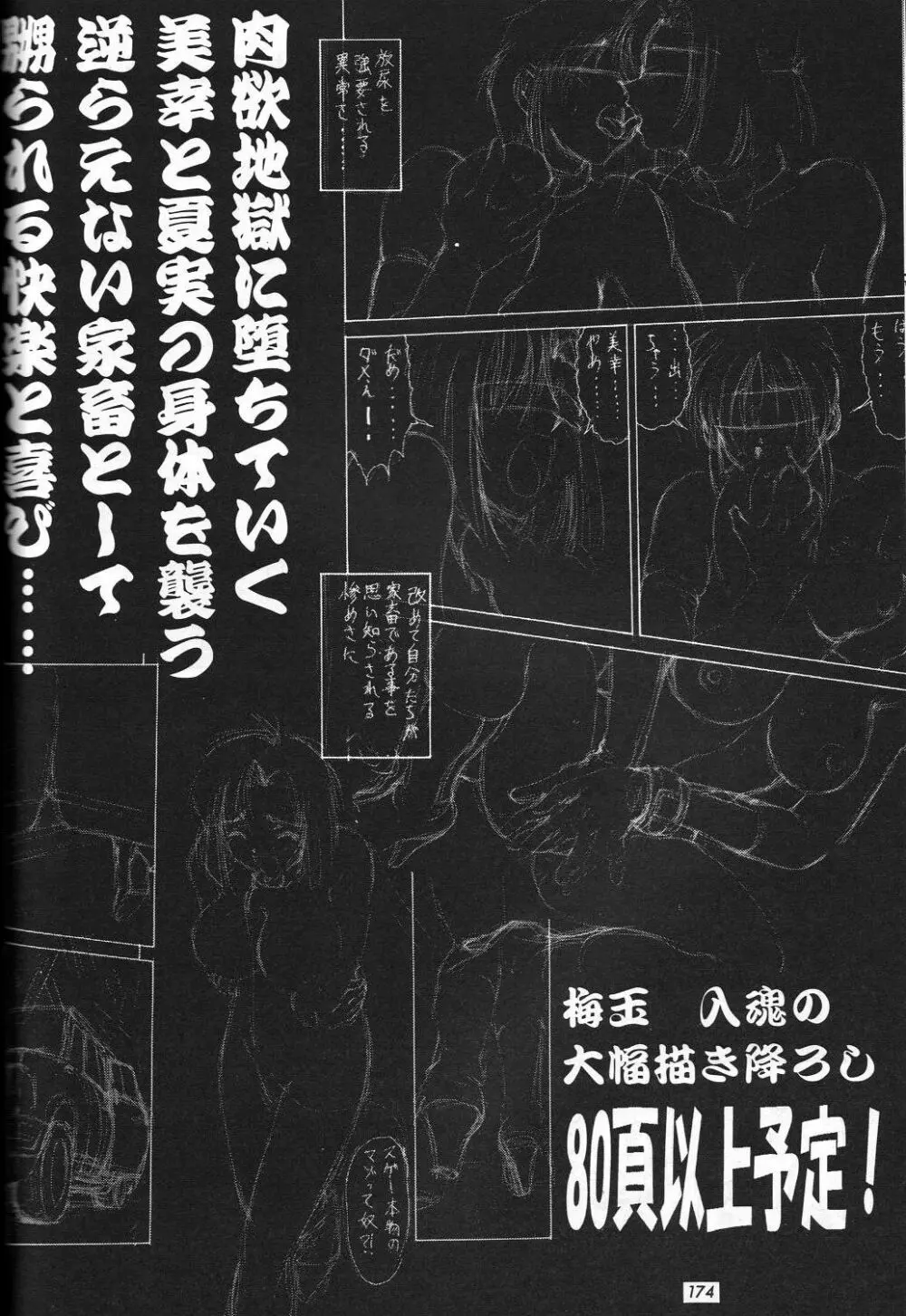 編笠Nan Demo-R Page.180