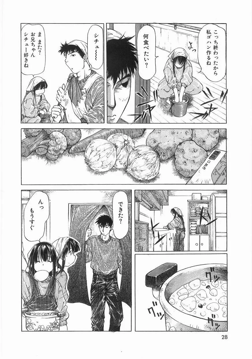 いっしょうけんめいお兄さん Page.28