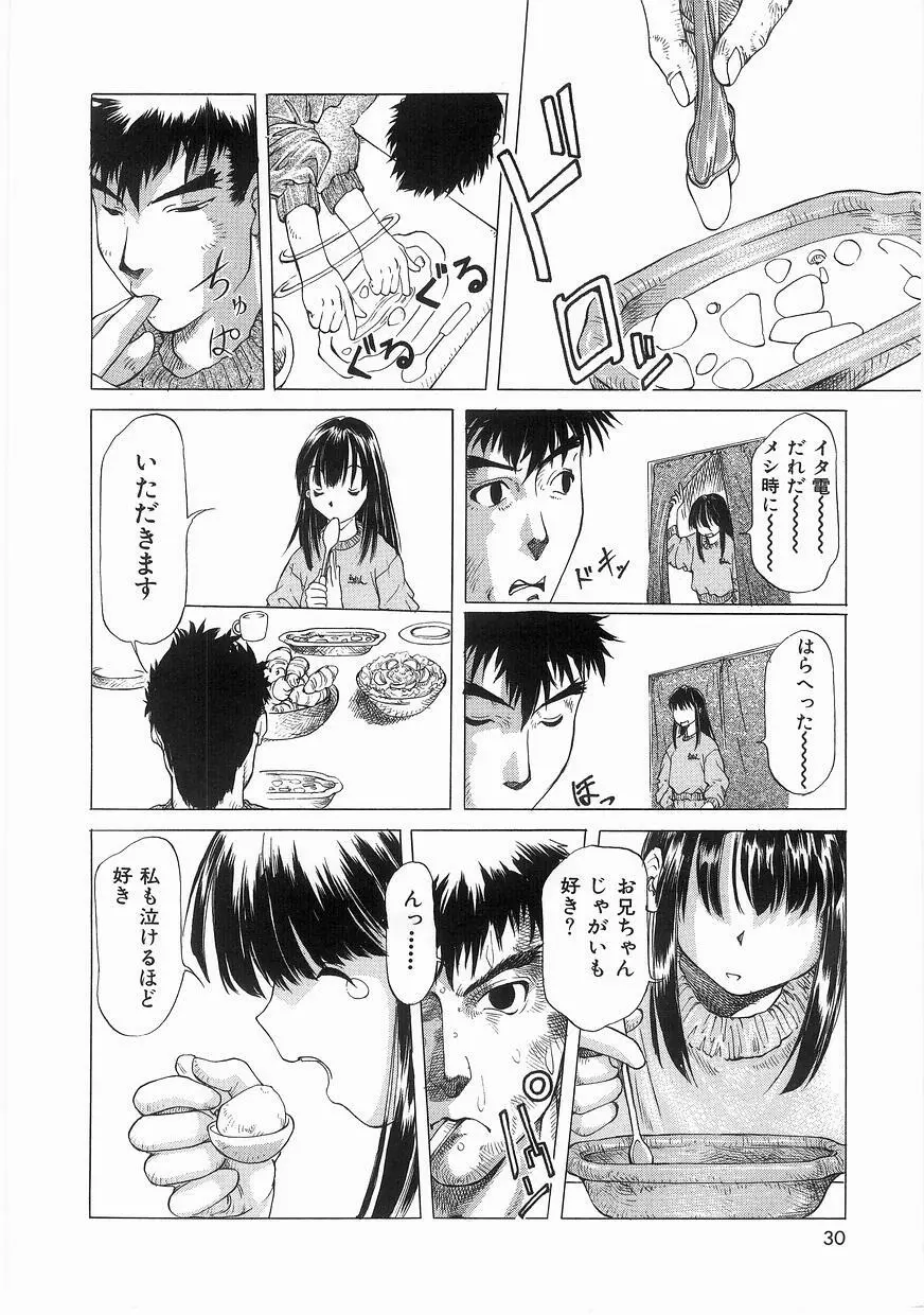 いっしょうけんめいお兄さん Page.30