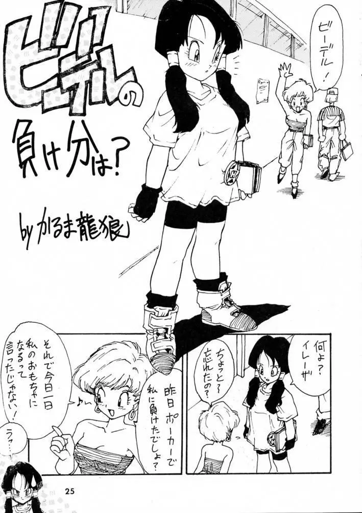 カルピス大百科 Page.24