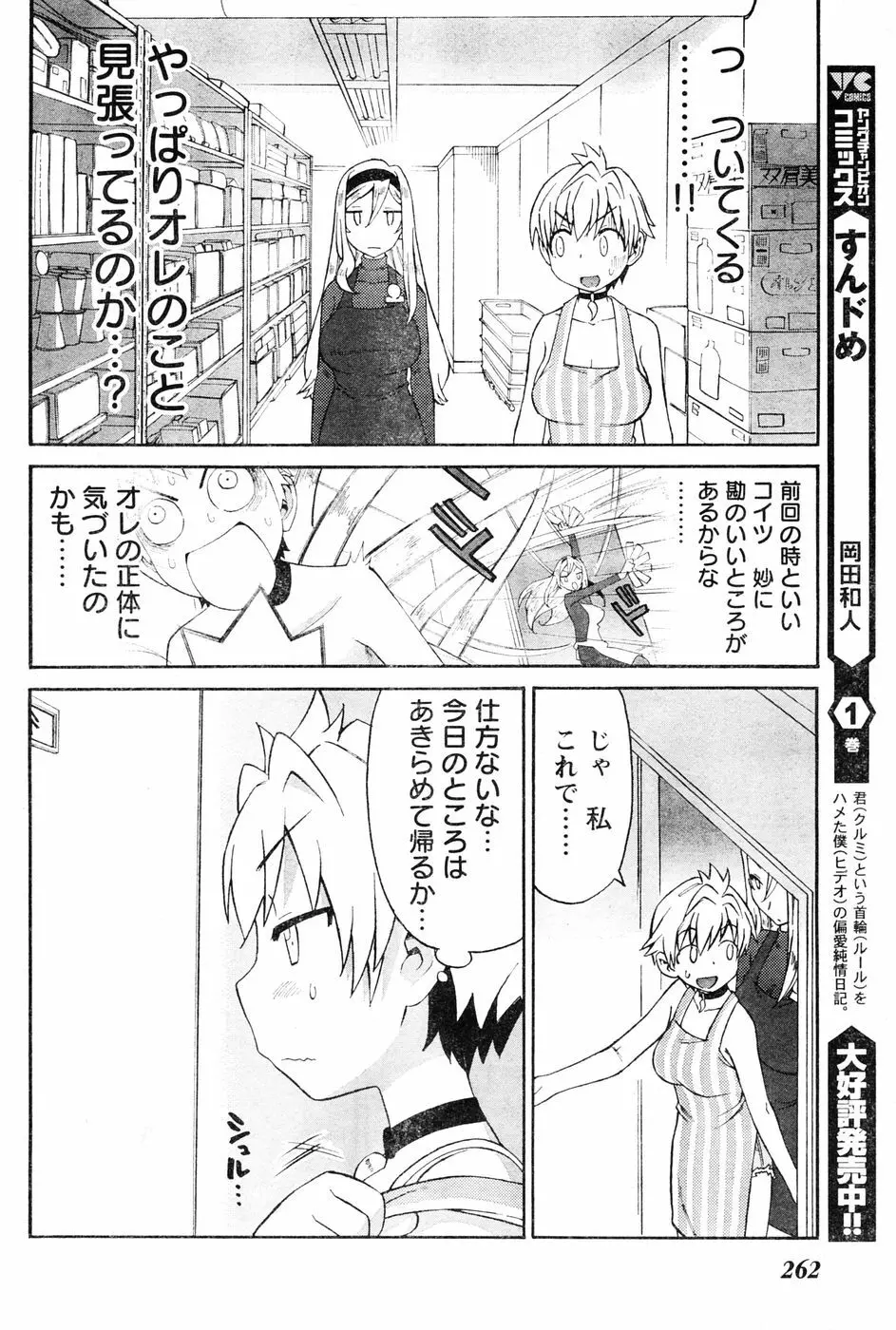 ヤングチャンピオン烈 Vol.06 Page.245