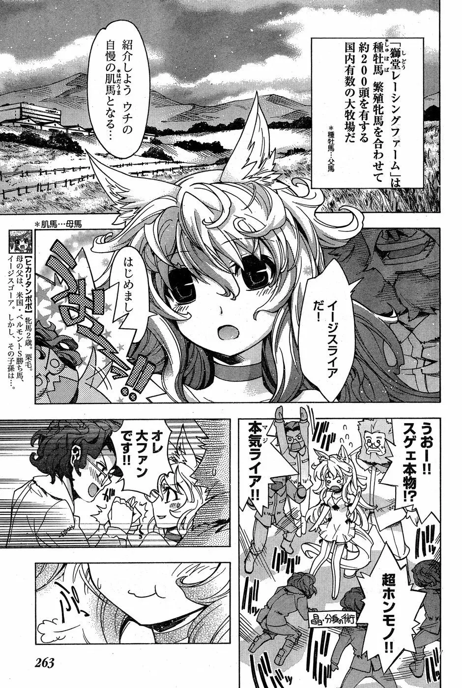 ヤングチャンピオン烈 Vol.18 Page.244