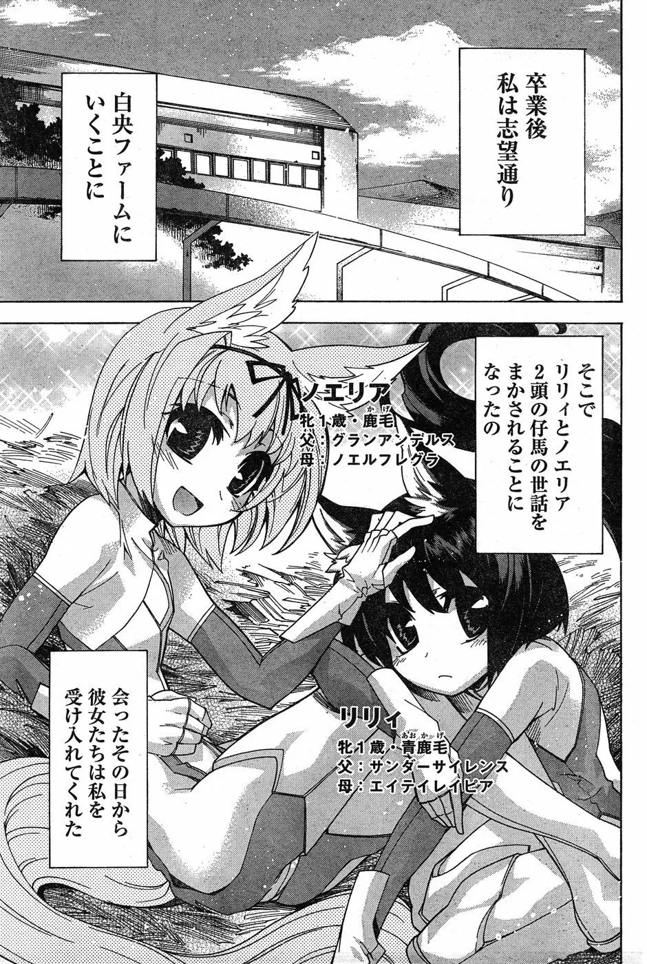 ヤングチャンピオン烈 Vol.19 Page.241