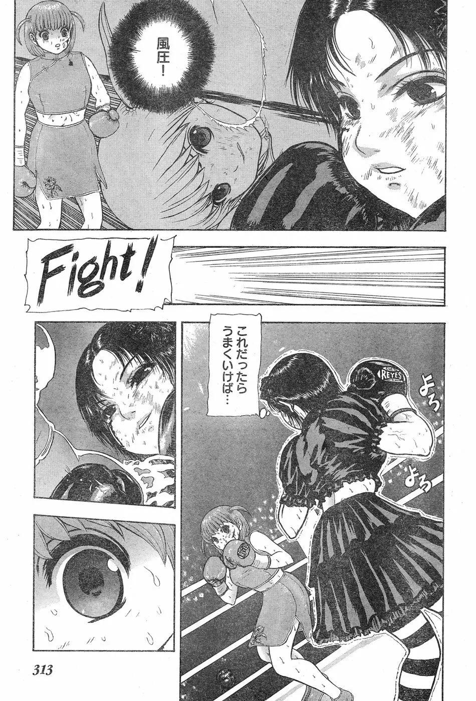 ヤングチャンピオン烈 Vol.20 Page.294