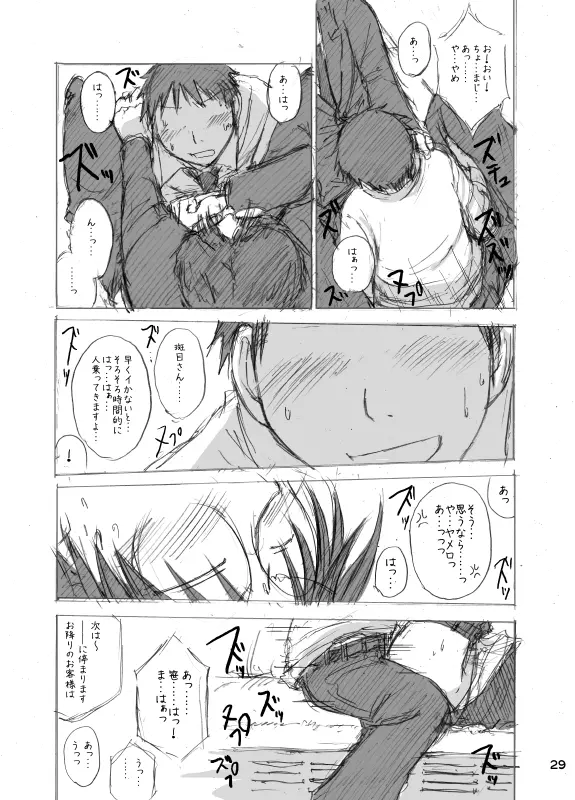 Hokano Page.29