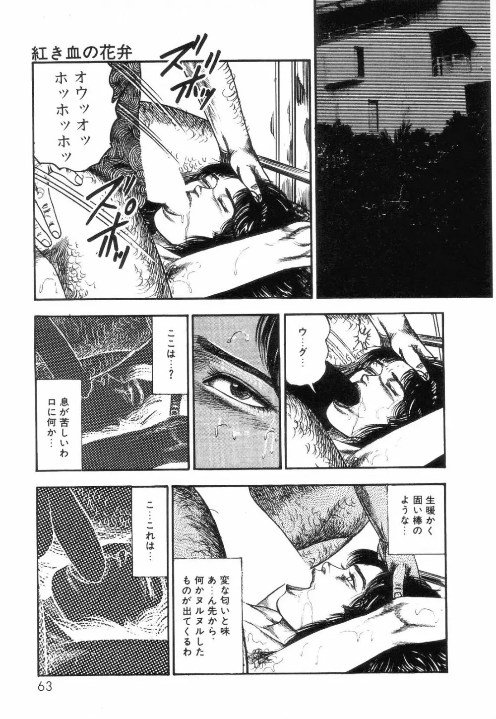 白の黙示録 第2巻 詩音凌辱の章 Page.65