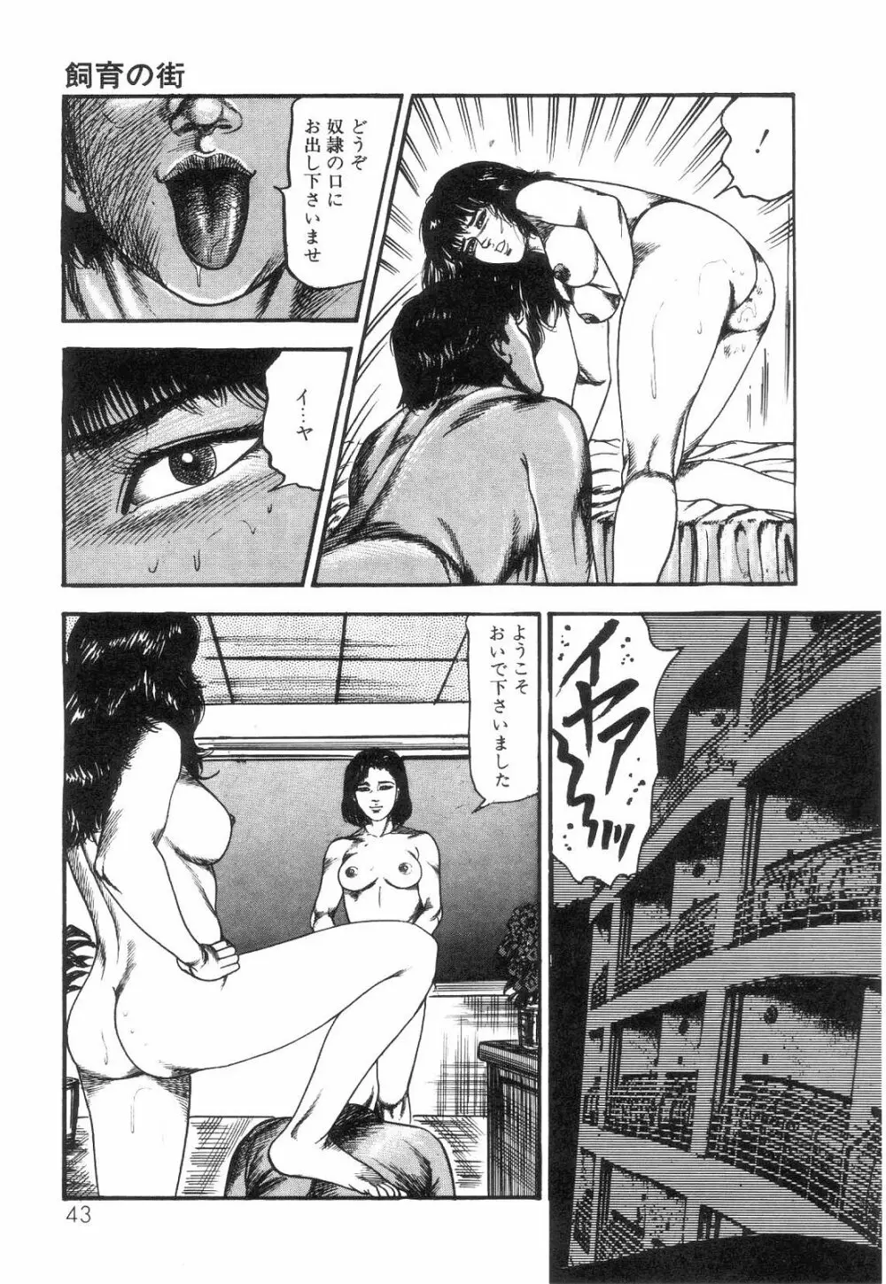 白の黙示録 第4巻 美畜・花恋の章 Page.45