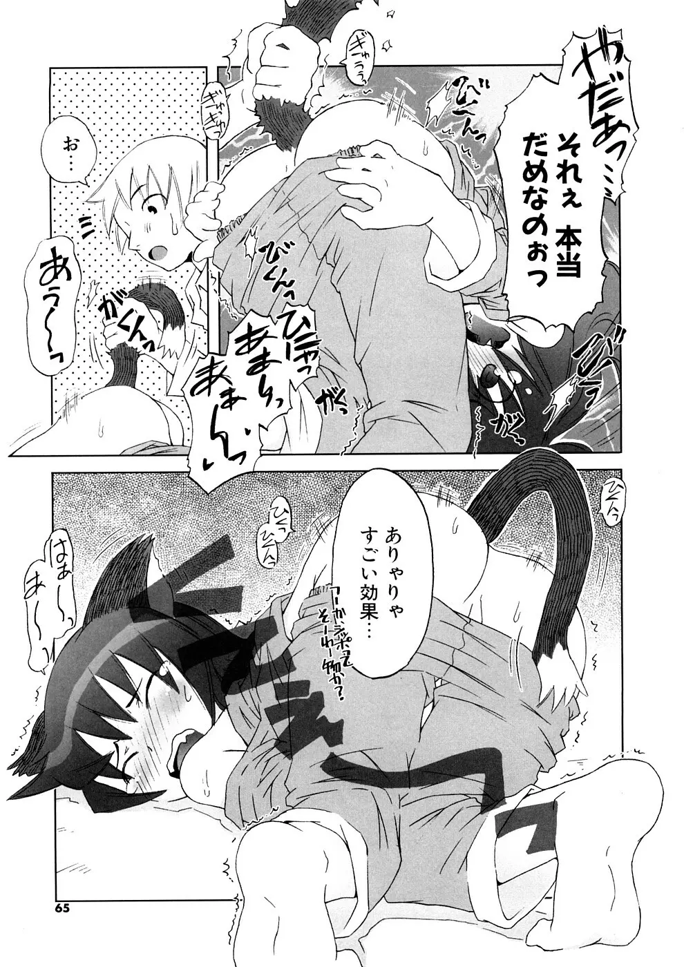 小悪魔と仔羊と子猫たち 新装版 Page.65