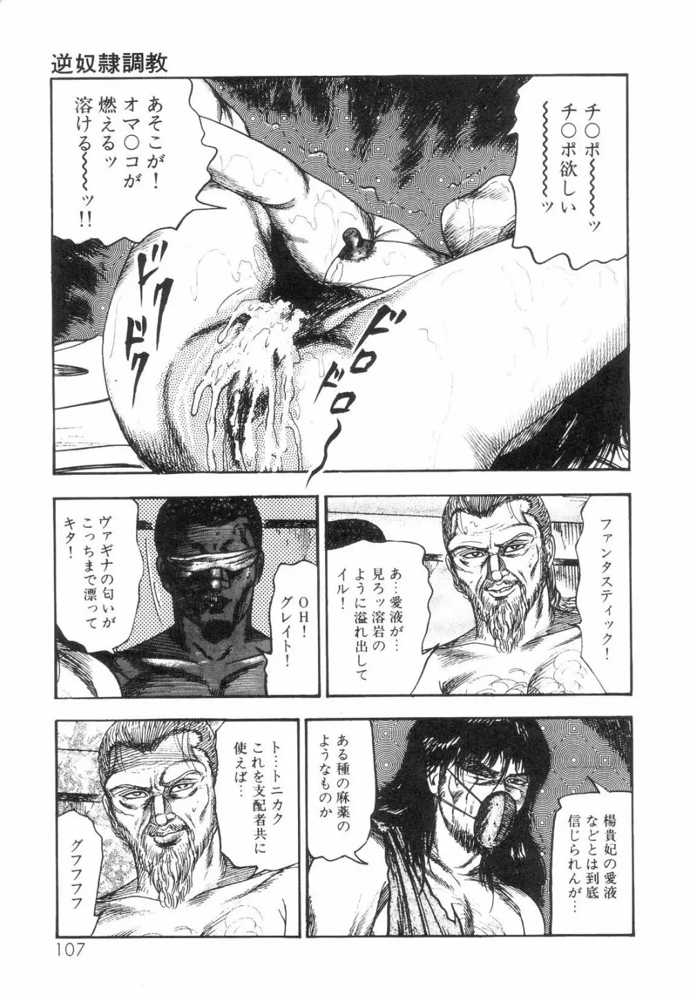 白の黙示録 第6巻 獣愛エリカの章 Page.109