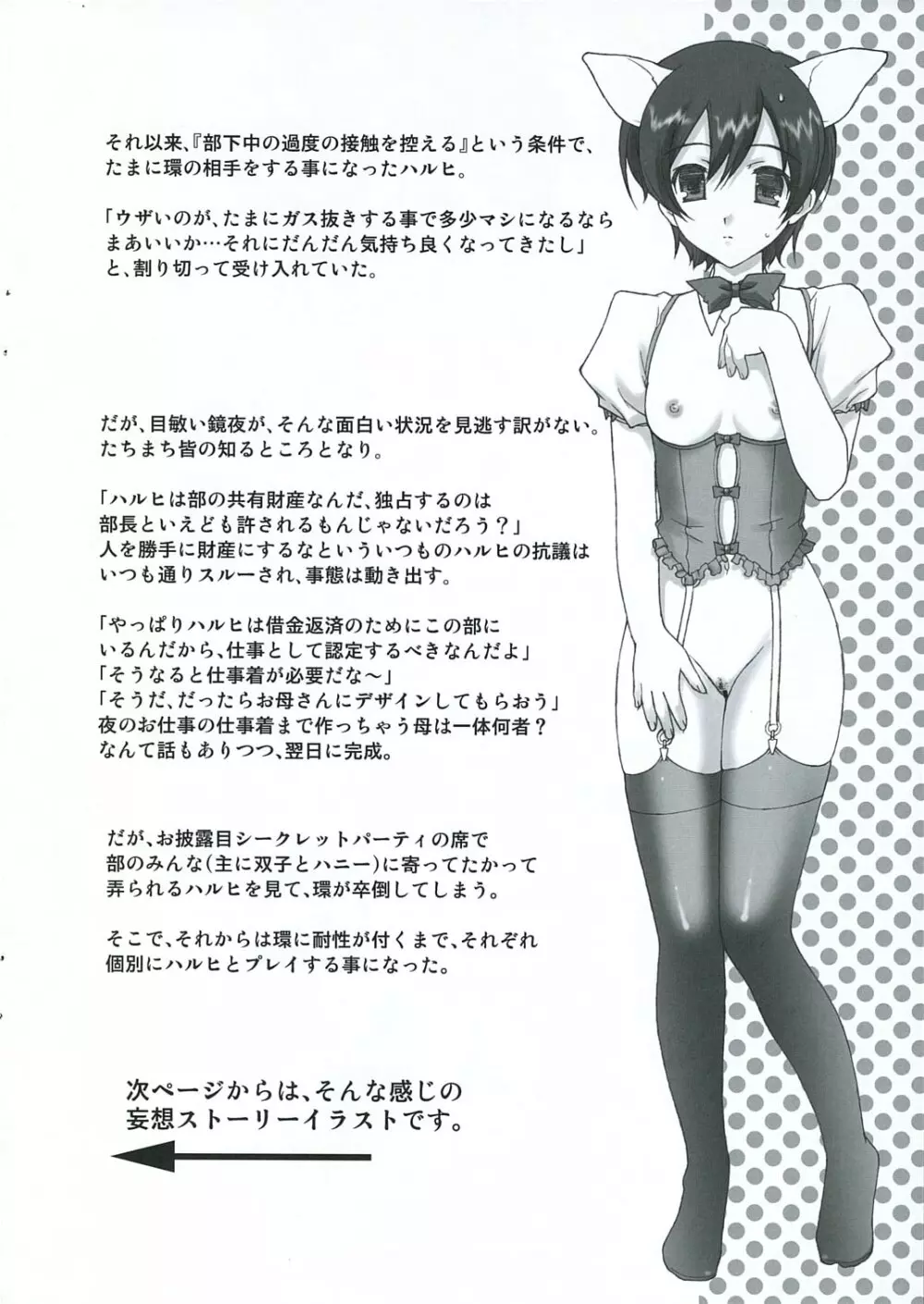 桜蘭高校ホスト部ファン倶楽部 Page.14