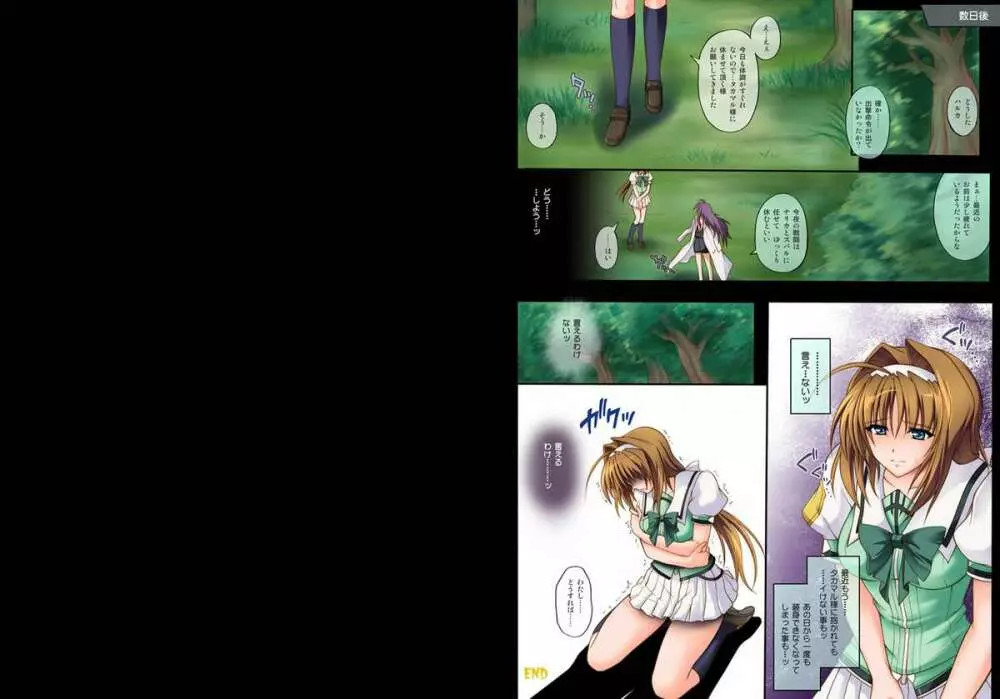 [サイクロン] T-01・02＆T-03ダウンロード特別版 Page.14