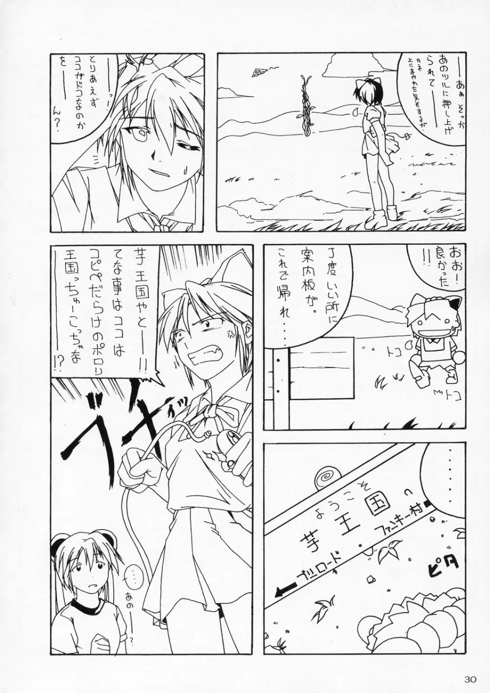 零X 0x0003 Page.29