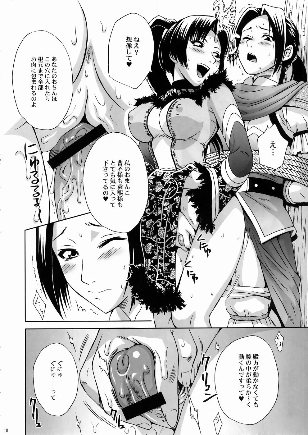 淫・三國夢想3 Page.17