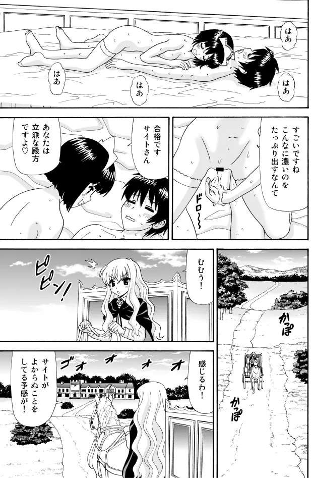 とあるメイドのたしなみ Page.17