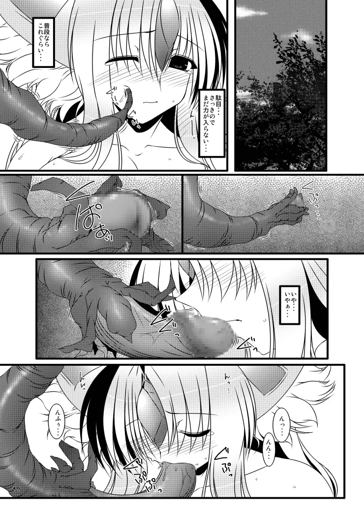 俺的FPMP Page.13