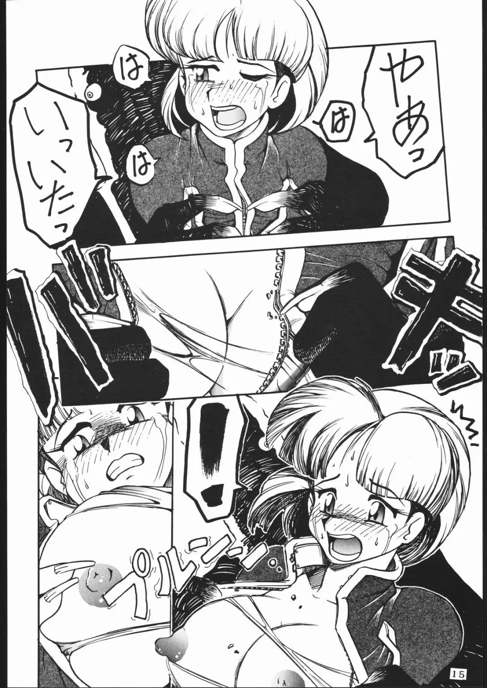 TDF-TWELVE Page.13