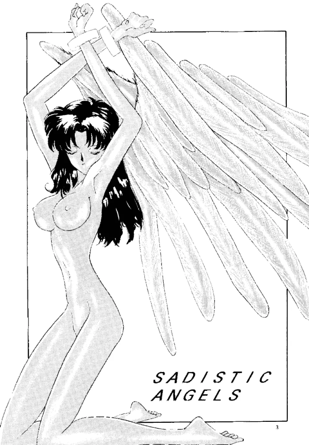 Sadistic Angels Page.2