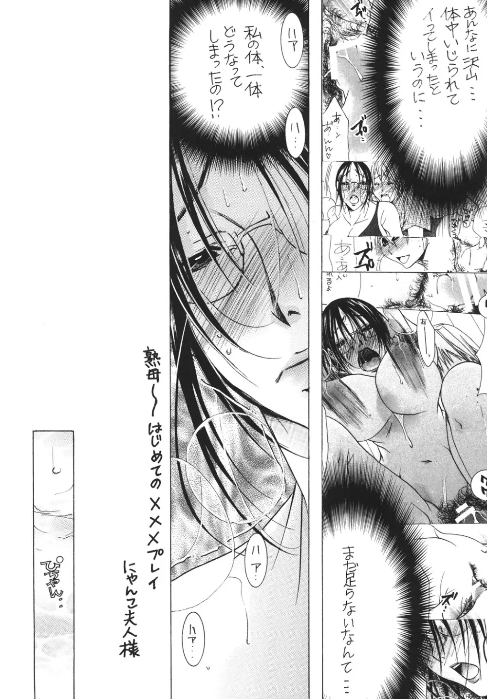 (C81) [M.MACABRE (にゃんこMIC) 熟母12 [DL版] Page.5