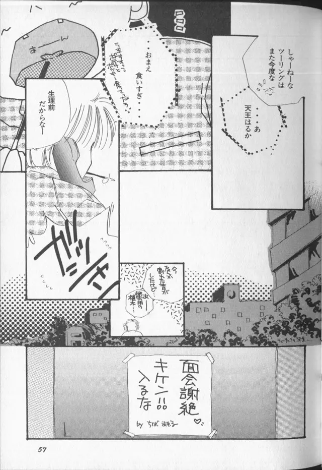 ルナティックパーティー9 Page.58