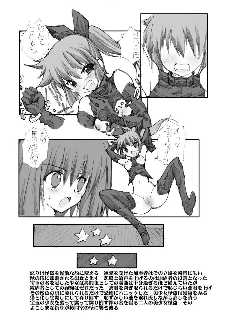 美少女怪盗陵辱拷問調教 Page.14