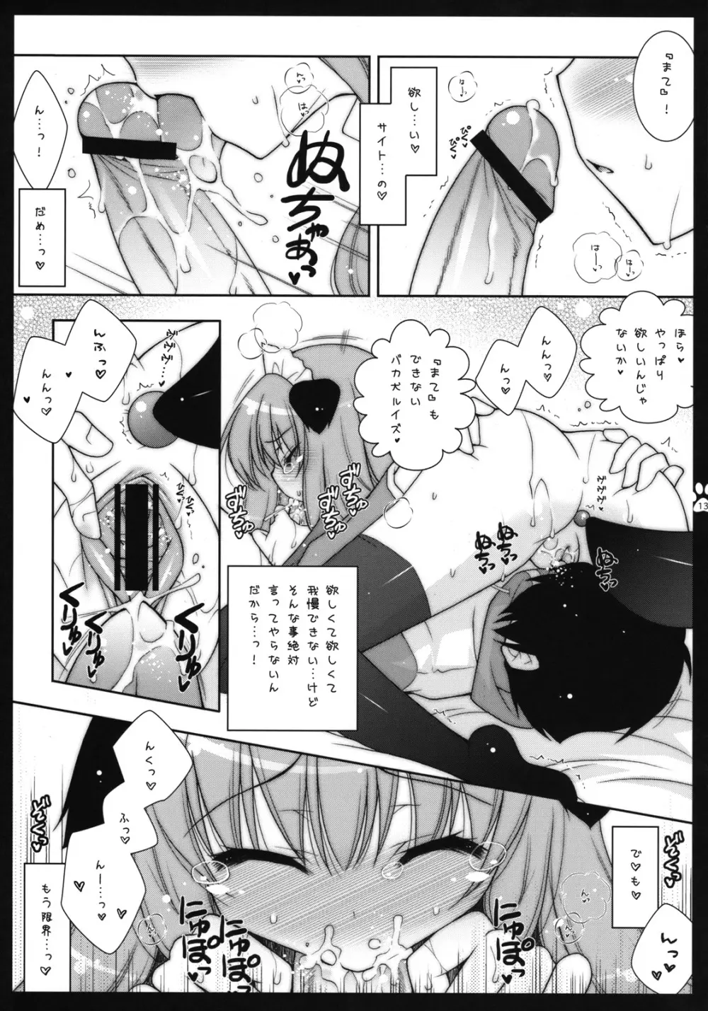 ルイズめはご主人さまの犬です Page.12