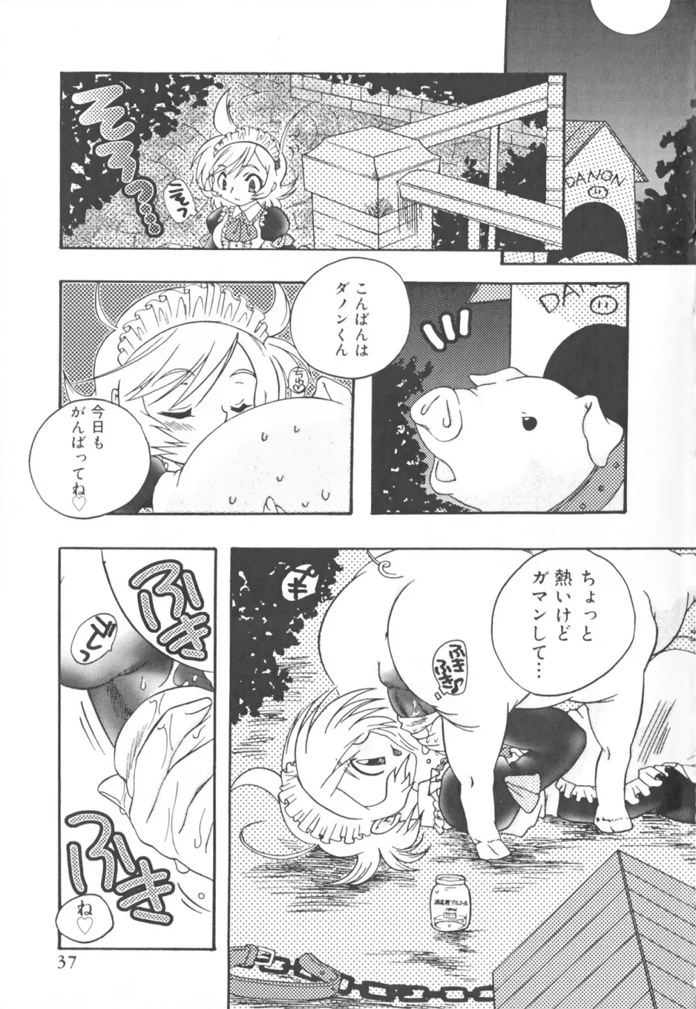 ふたなりコレクション Page.37