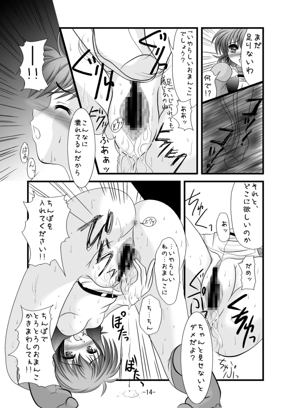 チーフケーキ Page.13