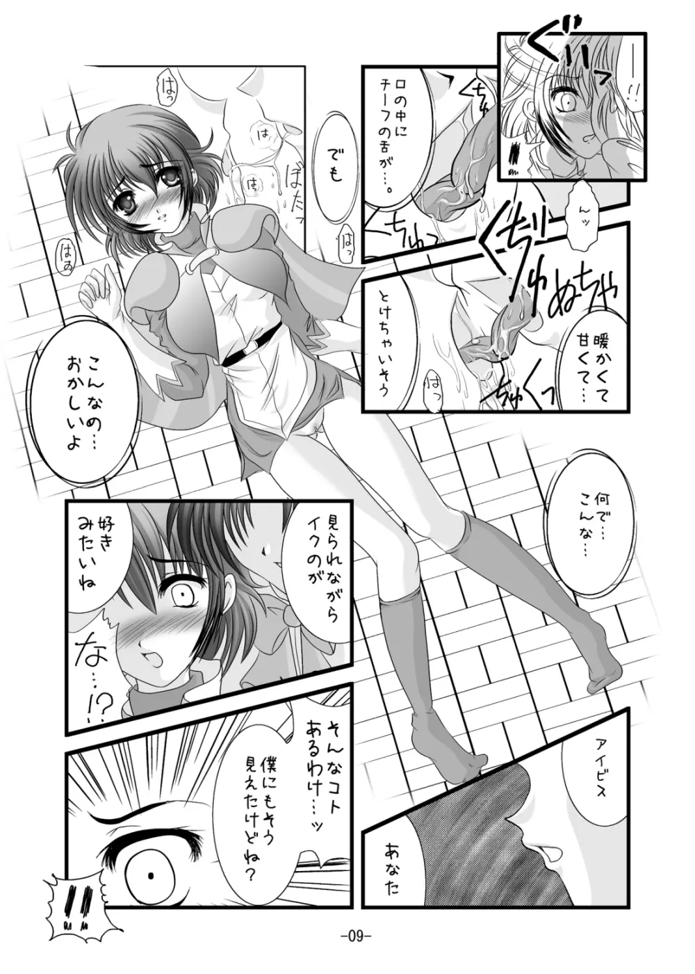 チーフケーキ Page.8