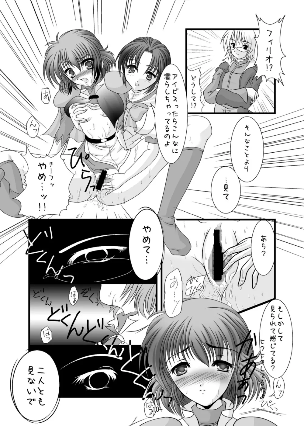 チーフケーキ Page.9