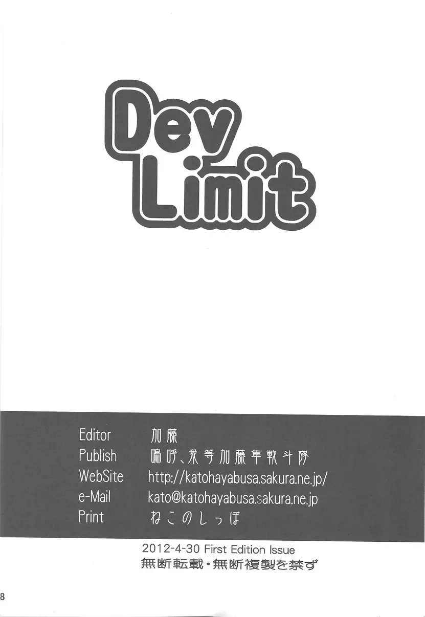 DevLimit Page.17