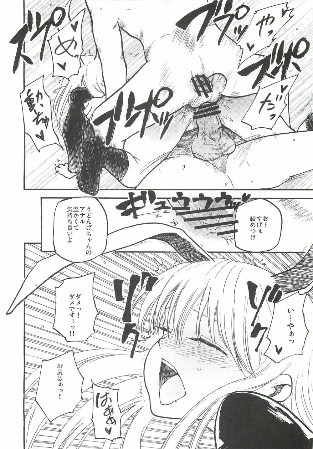 (例大祭9) [白ネギ屋 (miya9)] -udongein- (東方Project) Page.19