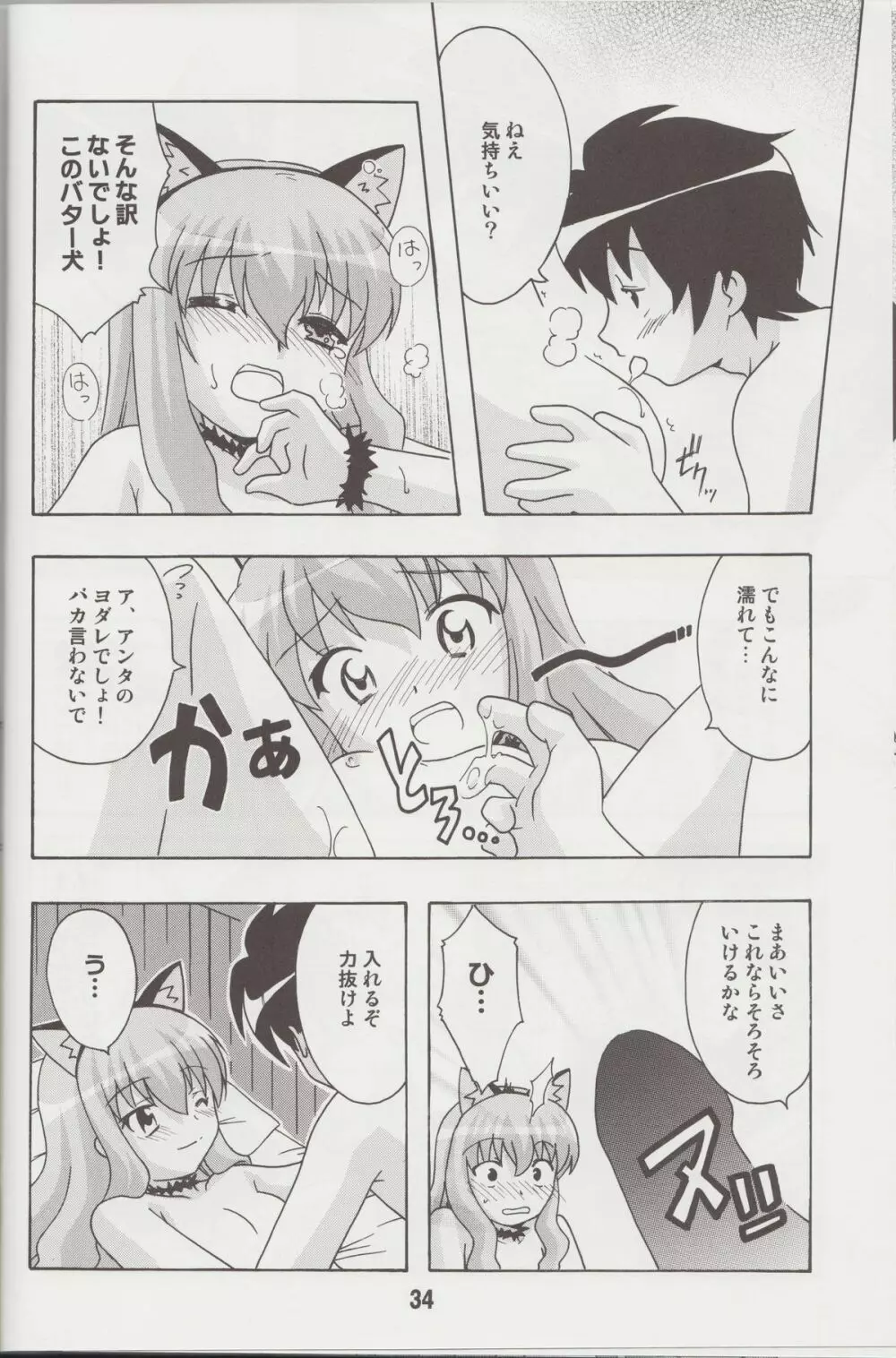 ルイズックス Page.33