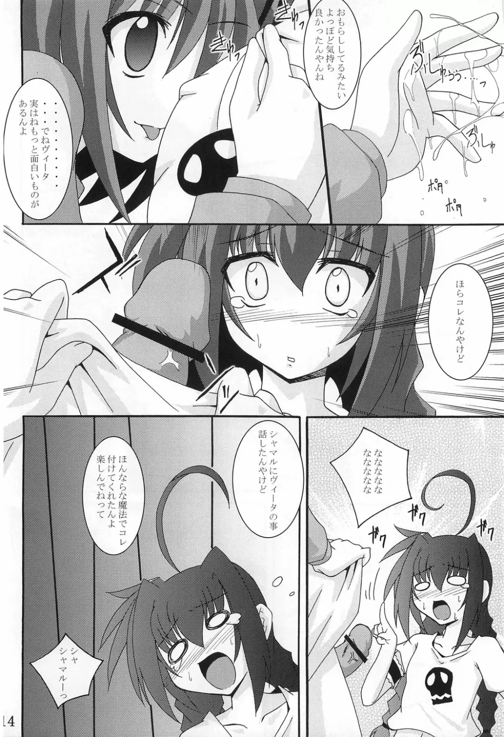 ヴィータの本 Page.13