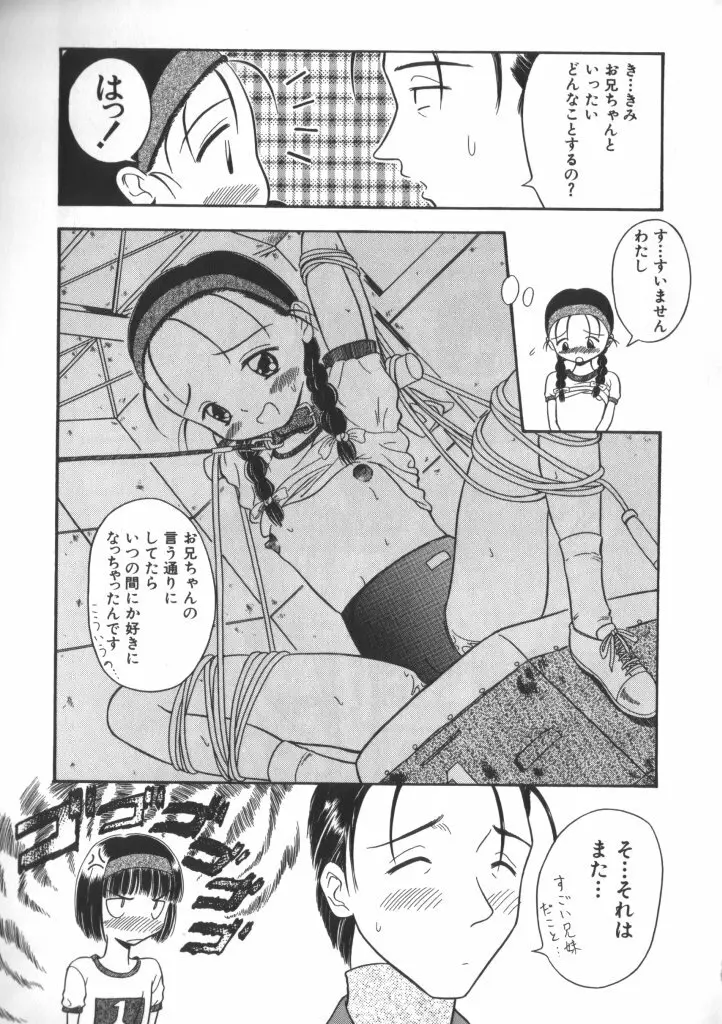 妖精日記 第6号 Page.29