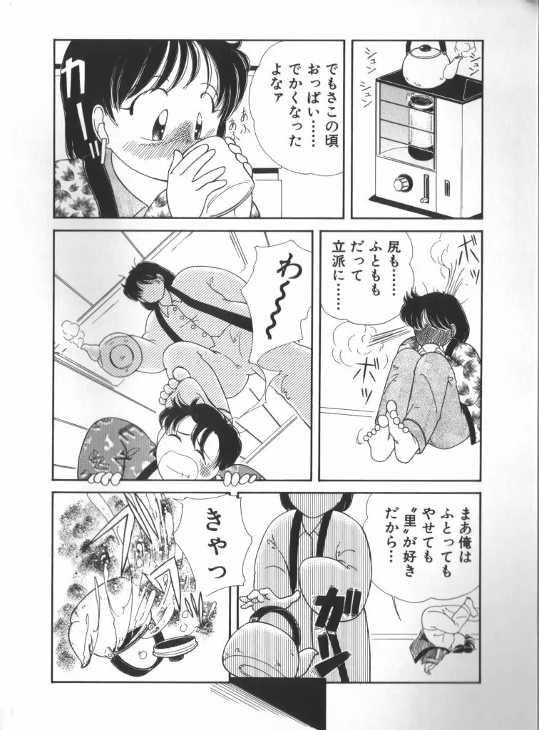 妖精日記 第6号 Page.46
