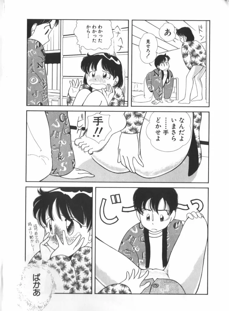 妖精日記 第6号 Page.48