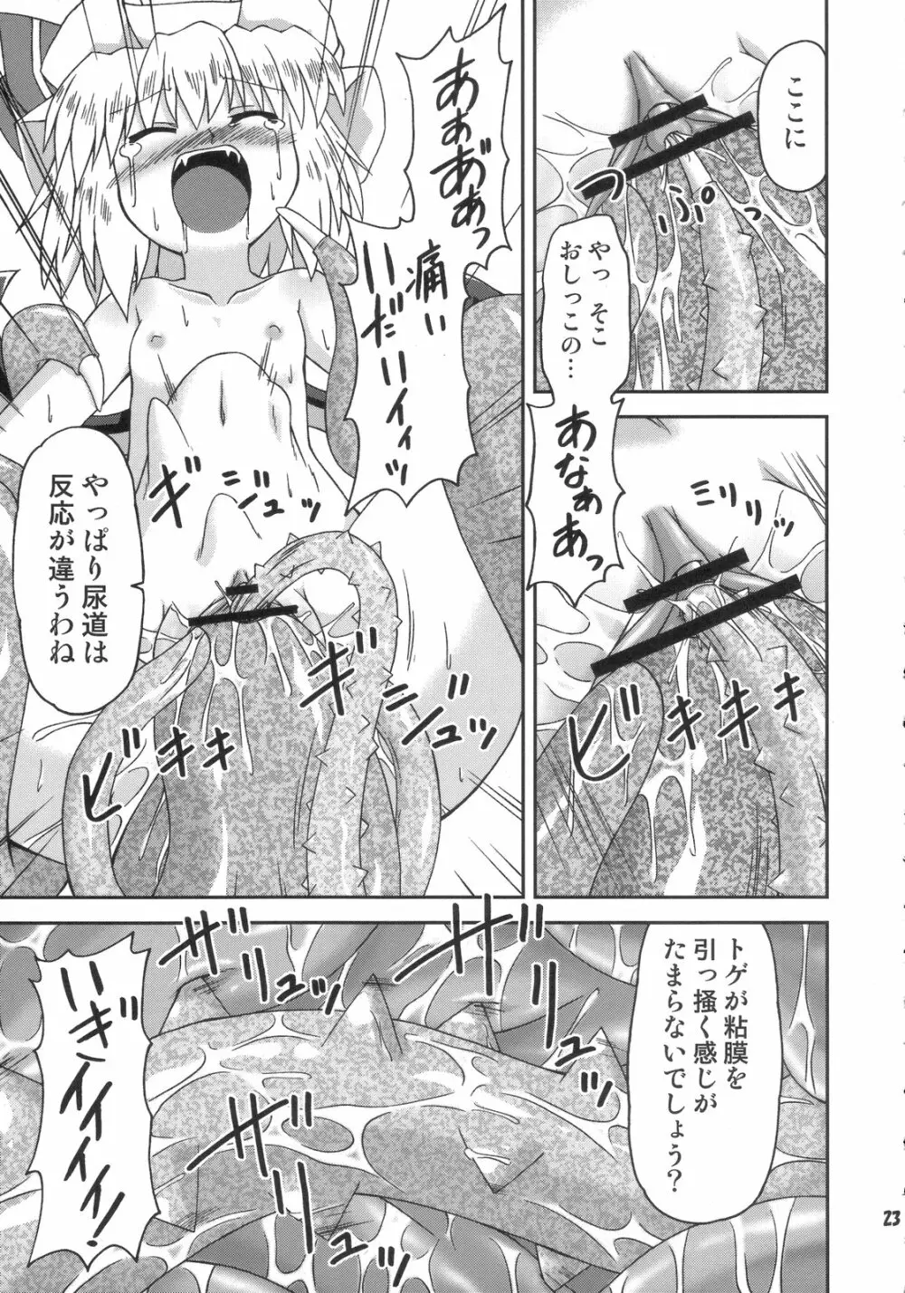 デフレーションカリスマ Page.23