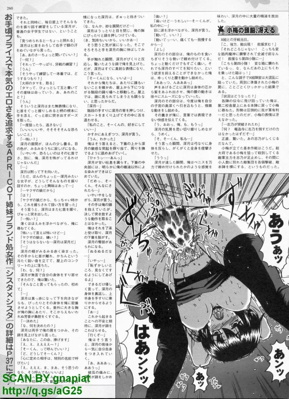 BugBug 2009年4月号 VOL.176 Page.257