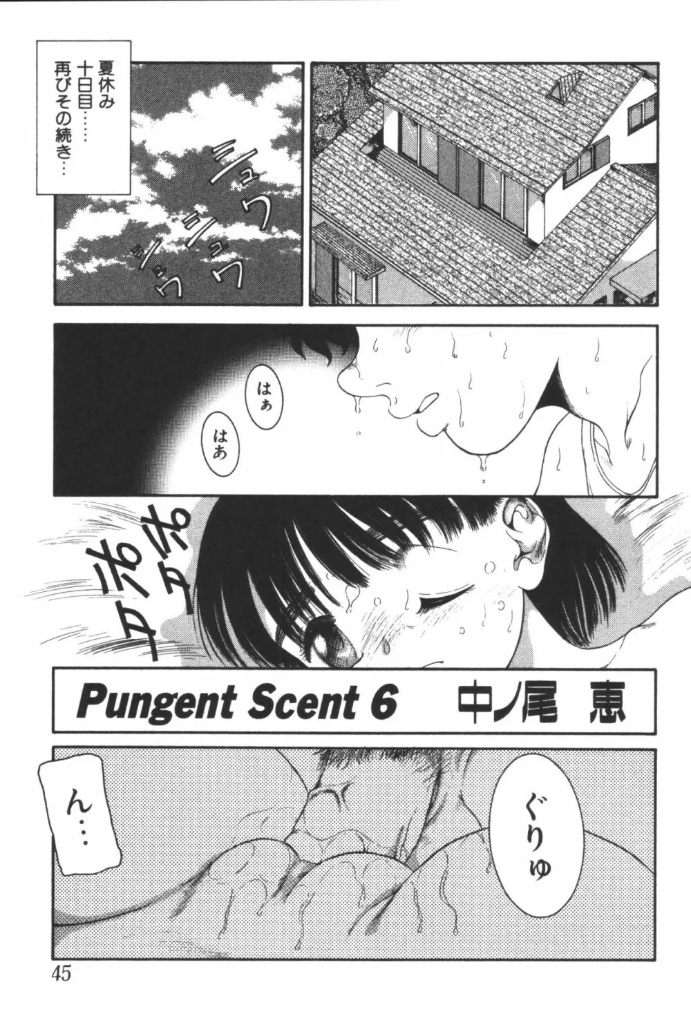 妹恋し 第06巻 実兄妹近親相姦 Page.47