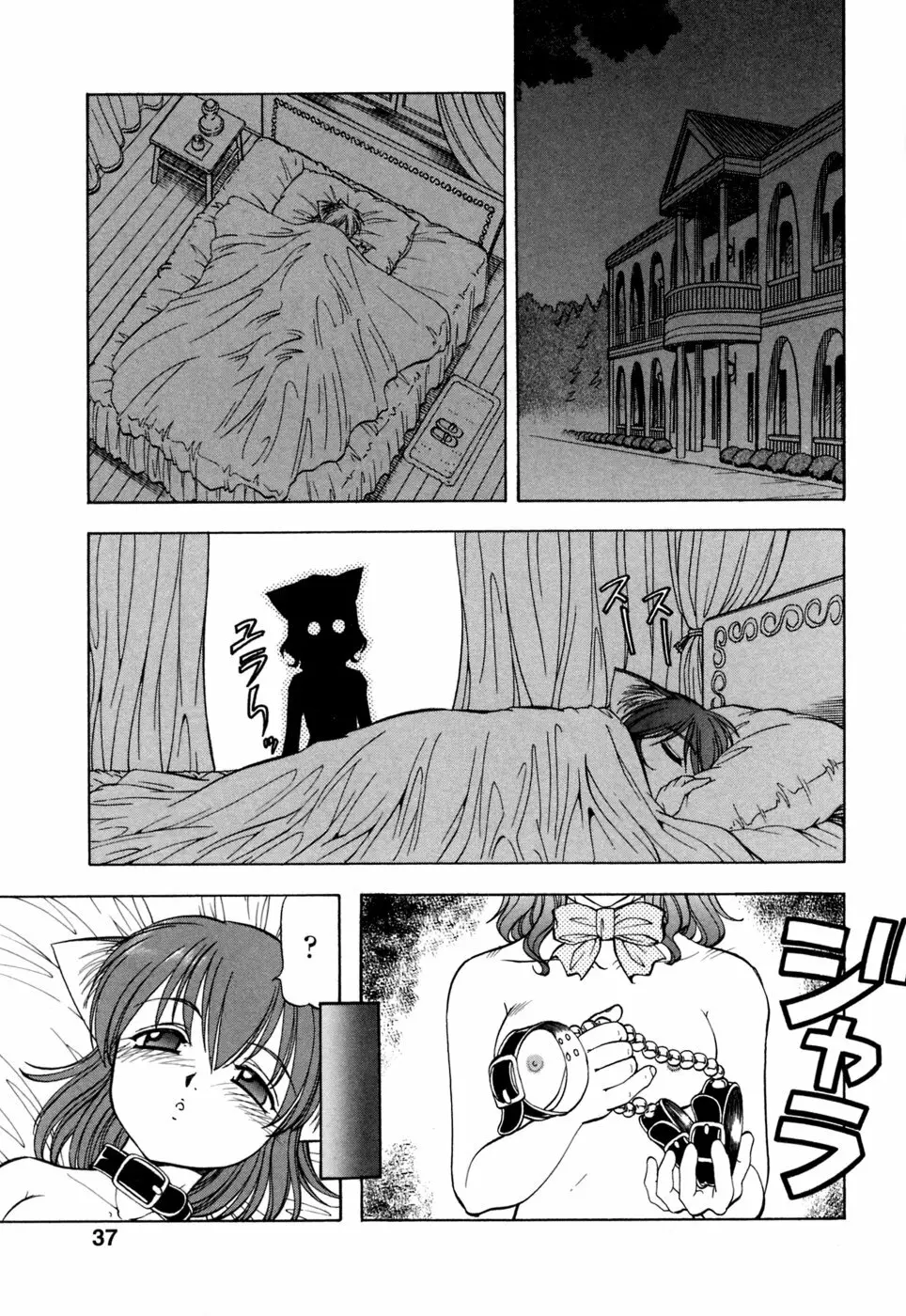 めすねこ Page.40