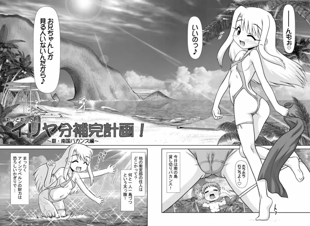 イリヤ分補完計画!2,3,4パック Page.45