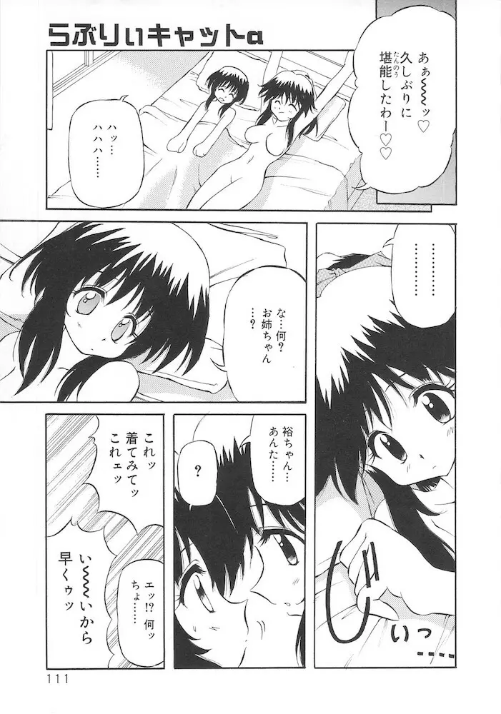 ホントは好きなんだ+ Page.113